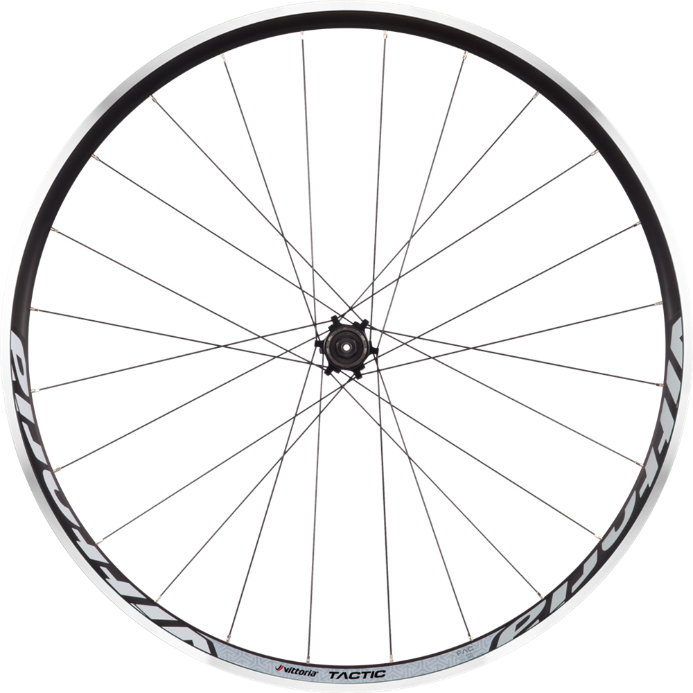 Ruote Bici da corsa e mtb: acquista i migliori modelli | Vittoria